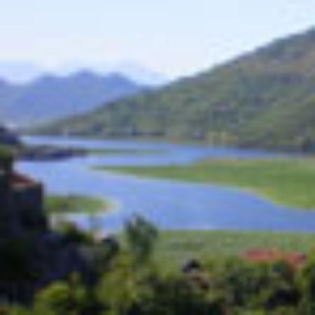 Jays At Little River